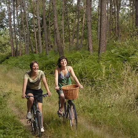 Casa de Férias Erable Sainte-Eulalie-en-Born