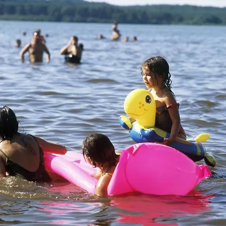 Erable * Sainte-Eulalie-en-Born