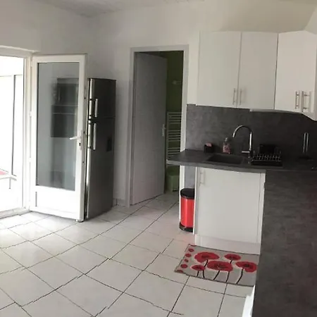 Erable Sainte-Eulalie-en-Born