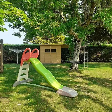 Erable Sainte-Eulalie-en-Born