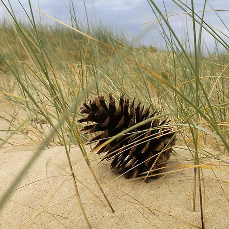 Erable Casa de Férias