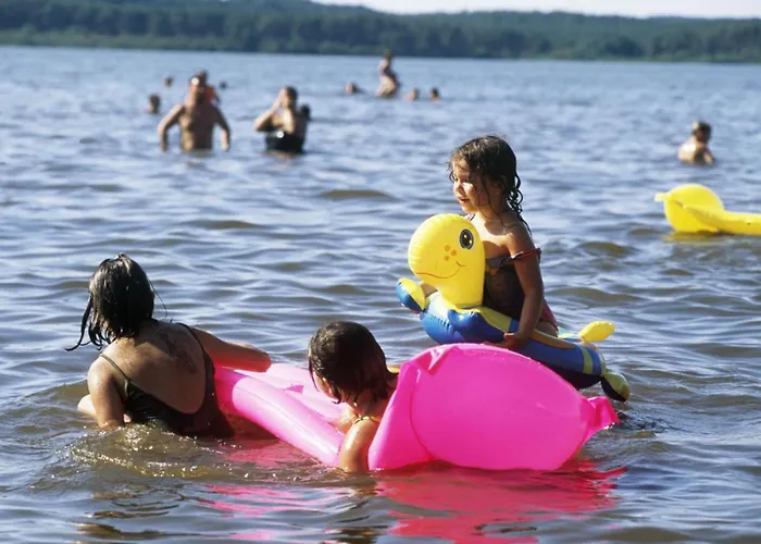 Erable * Sainte-Eulalie-en-Born