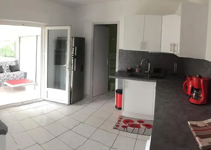 Erable Sainte-Eulalie-en-Born