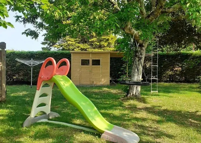 Erable Sainte-Eulalie-en-Born