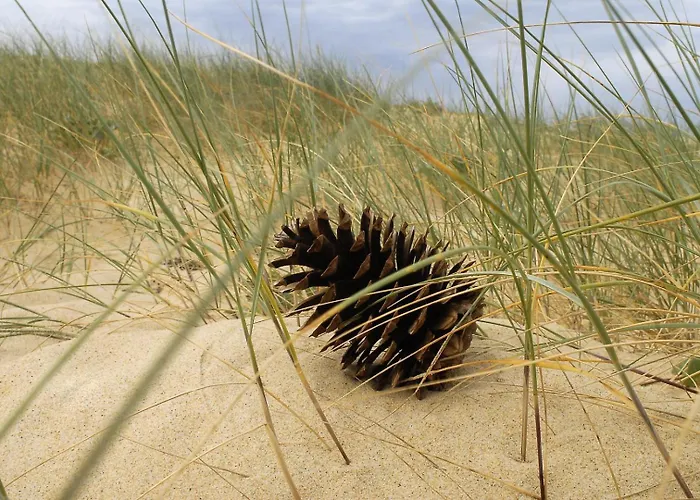 Erable Casa de Férias